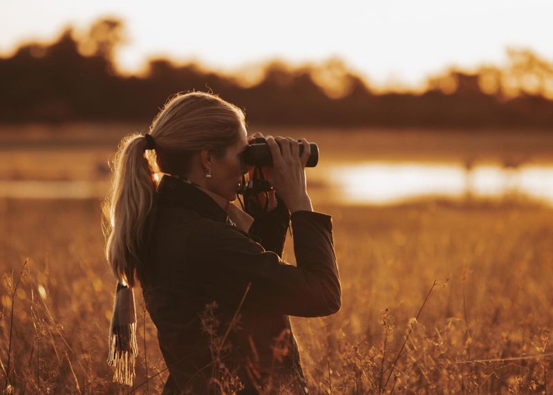 A woman stands in a golden grassland at sunset, looking through binoculars towards the horizon, with a blurred waterhole and distant wildlife in the background.