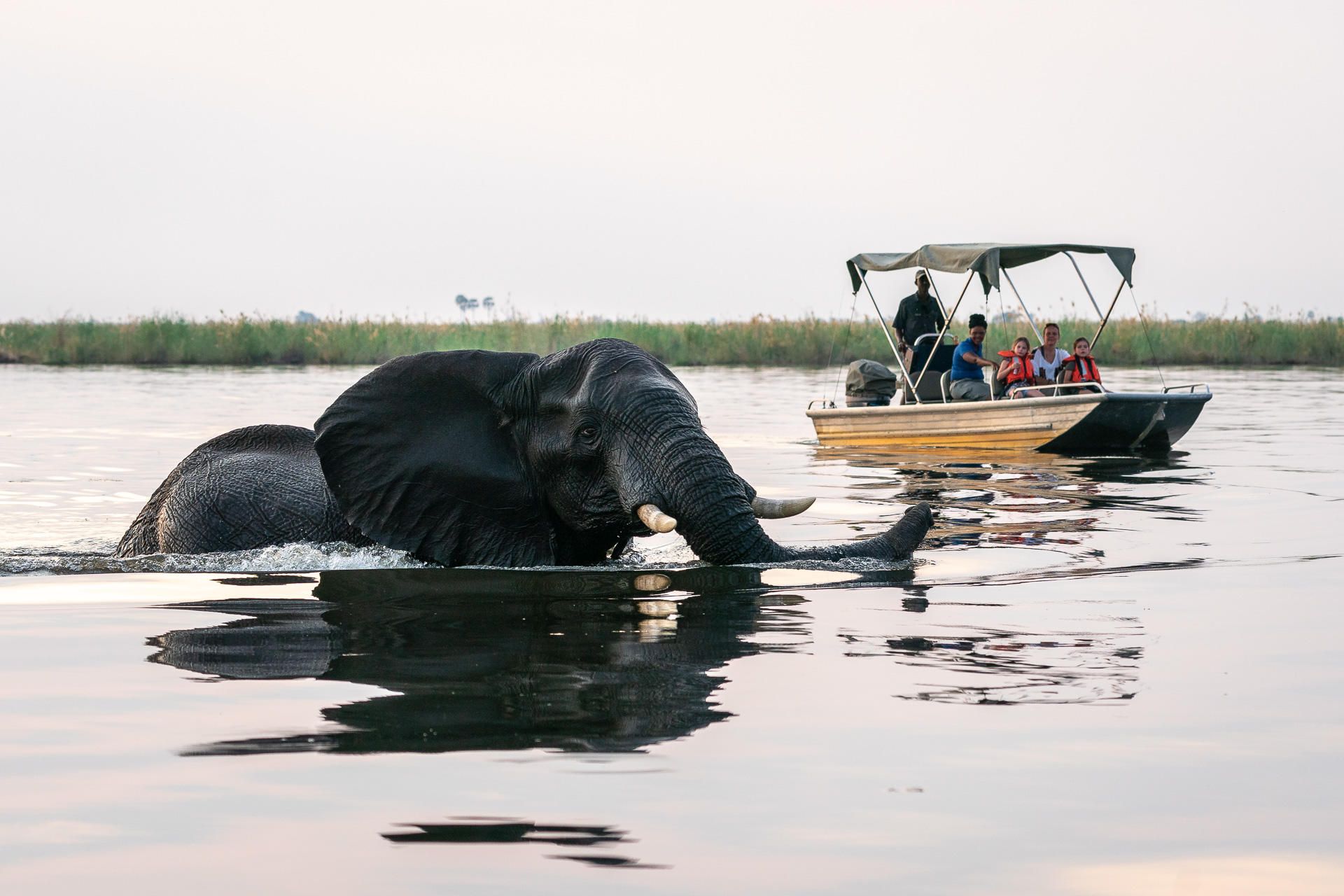 When is the Best Time to Visit Botswana for a Safari?