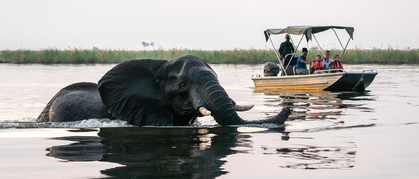 When is the Best Time to Visit Botswana for a Safari?