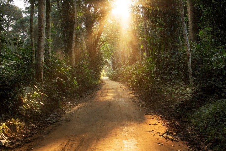 Grenzenlose Wildnis: Willkommen in Zentralafrika