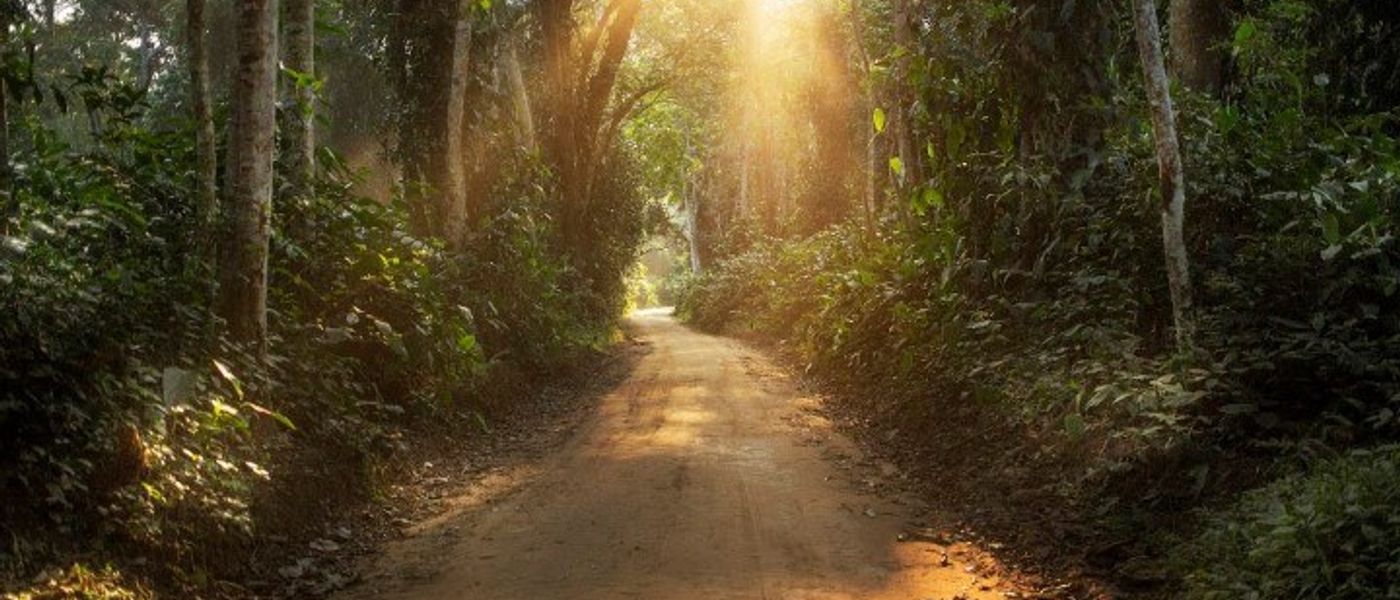 Grenzenlose Wildnis: Willkommen in Zentralafrika