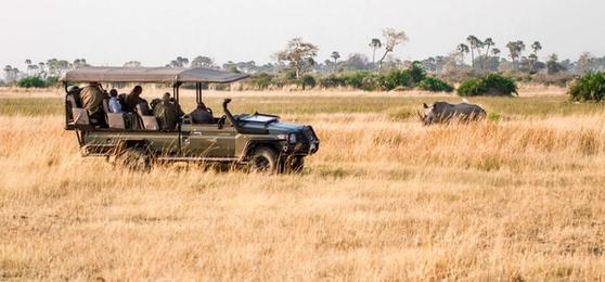 Las Principales Tendencias en los Safaris de Lujo Africano para 2025