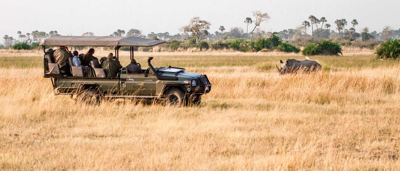 Luxury African Safari Travel Trends in 2025