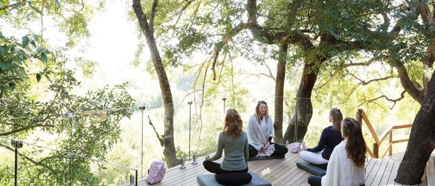 Safari et retraite spirituelle à la Healing House de Londolozi