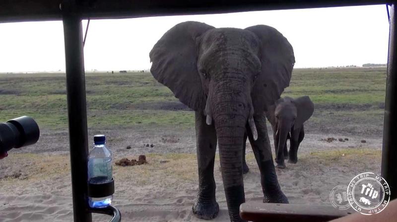 Our hardy explorers continued on to Botswana