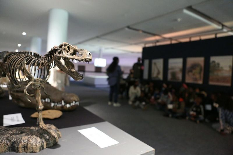 Dinosaurierskelett im Iziko South African Museum in Kapstadt
