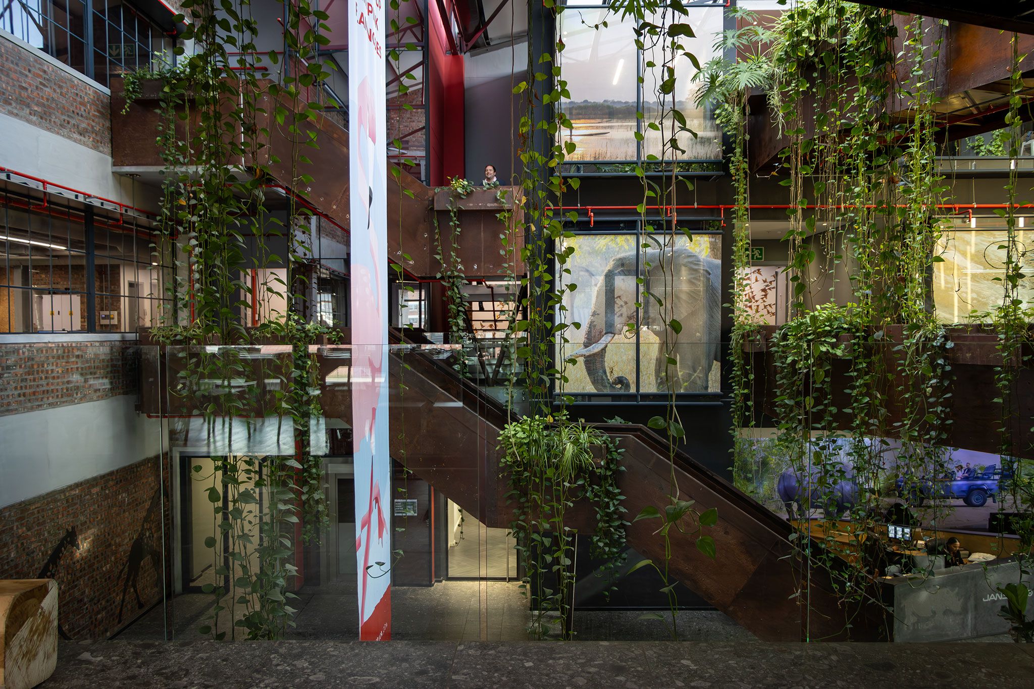 19 Reasons We Love Working at Rhino Africa