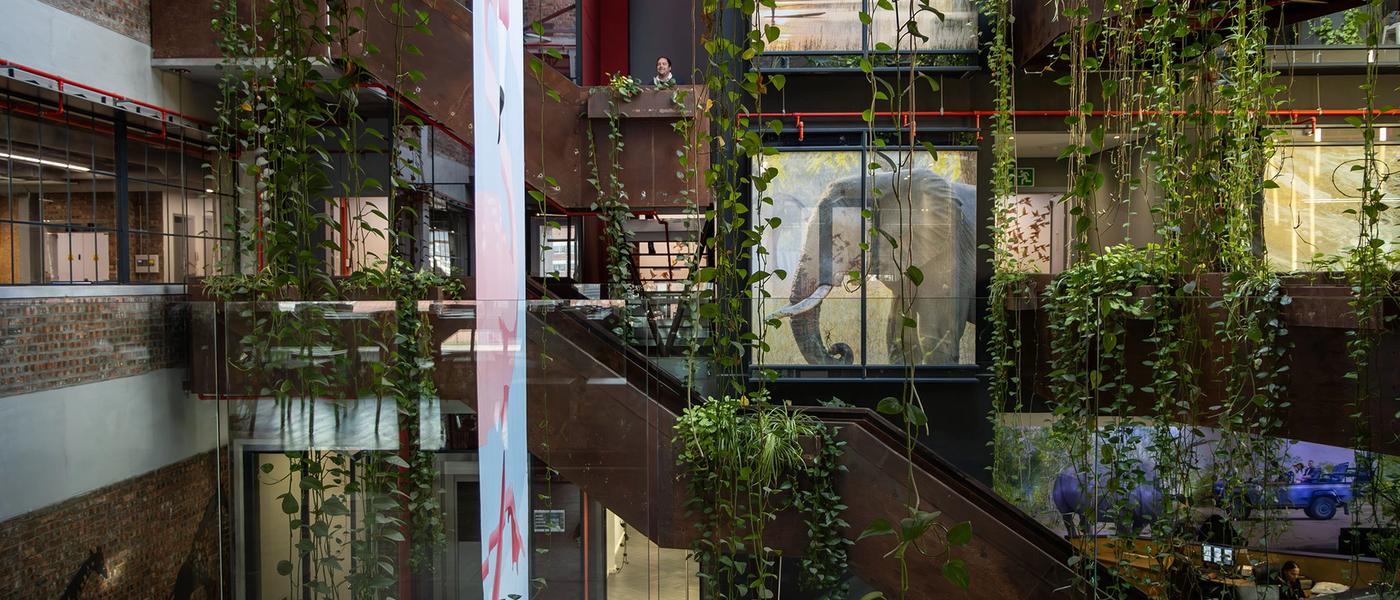 19 Reasons We Love Working at Rhino Africa