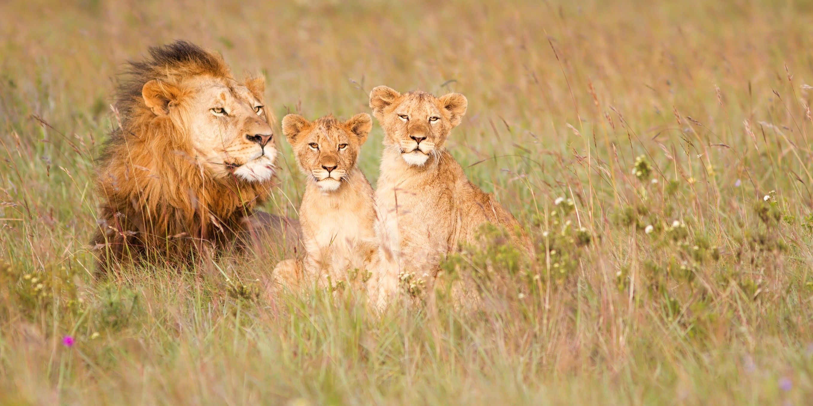 Unintended Consequences: What the Travel Advisory Headlines Aren’t Telling You