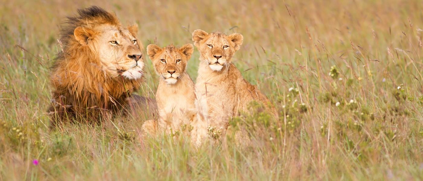 Unintended Consequences: What the Travel Advisory Headlines Aren’t Telling You