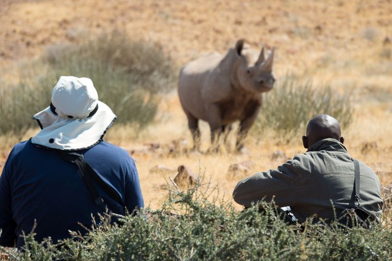 Ein Spitzmaulnashorn im Damaraland, einem der Top Safari-Reiseziele in Namibia