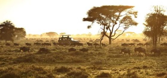 Best Time to Visit Tanzania: A Month-by-Month Guide to the Moments That Matter