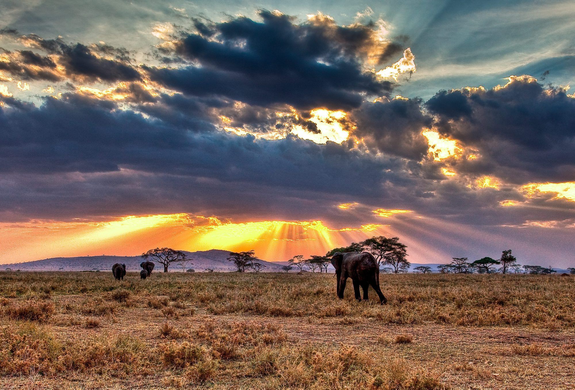 12 Reasons Why Africa Will Blow Your Mind