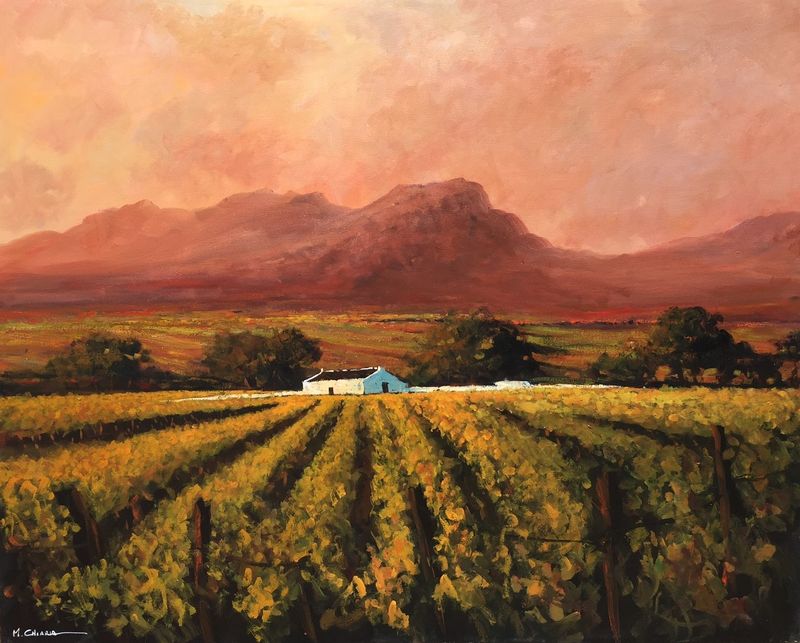 Mauro Chiarla's painting of the Winelands