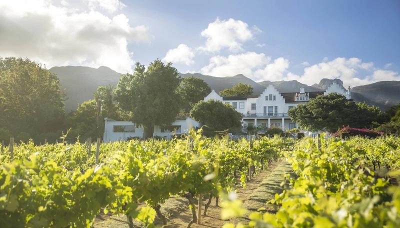 Weinfarm im Kap-Weinland umgeben von Bergen und grünen Weinreben