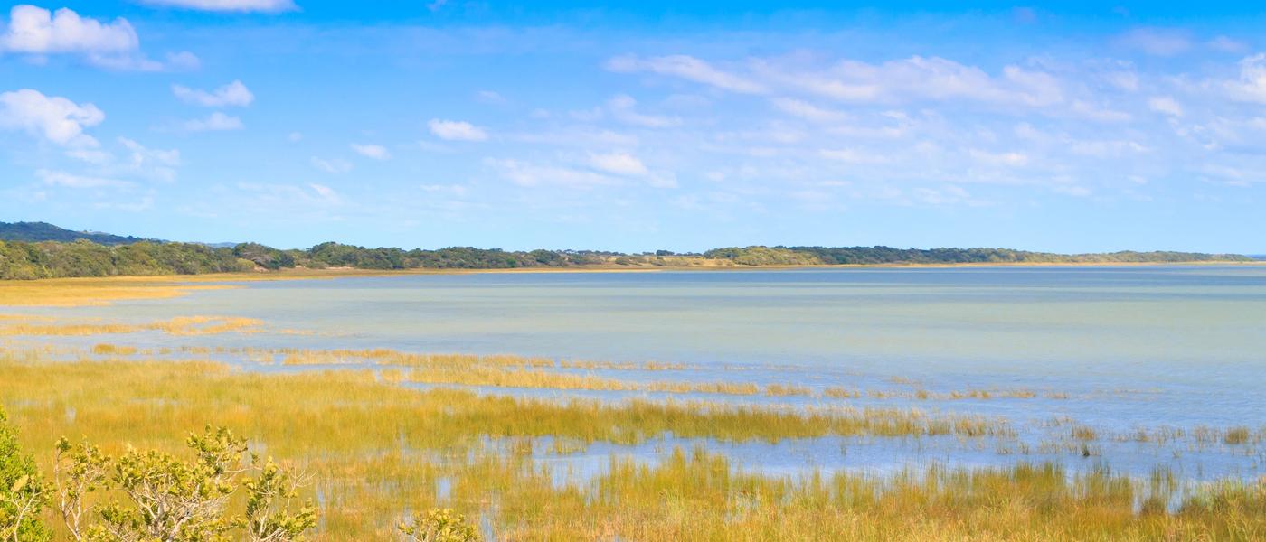 Ihr iSiMangaliso Wetland Park Safari Guide
