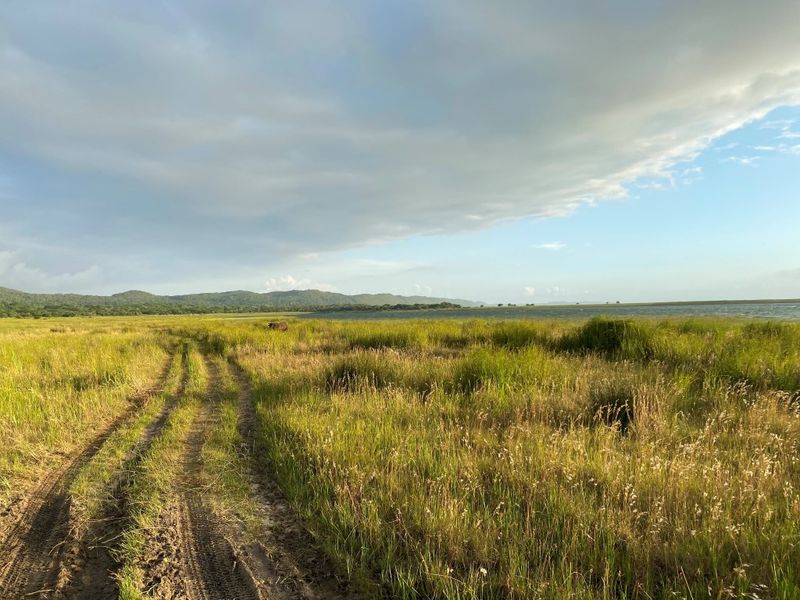 Ein wahres Naturparadies in KwaZulu-Natal