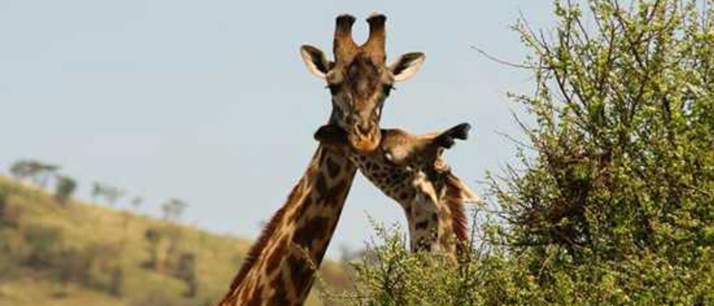 Exploring East Africa with Singita - Part 2