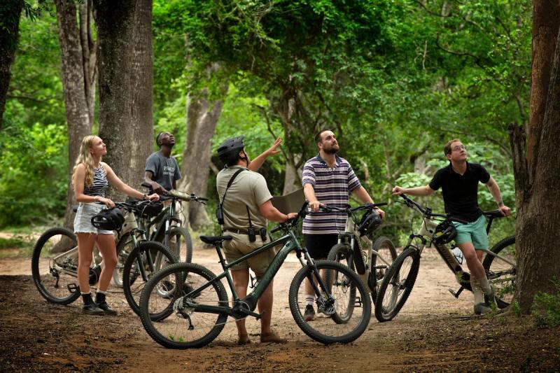 Group cycling through Phinda on e-bikes