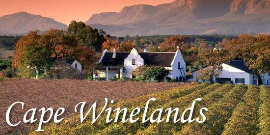 The Cape Winelands - Santé!