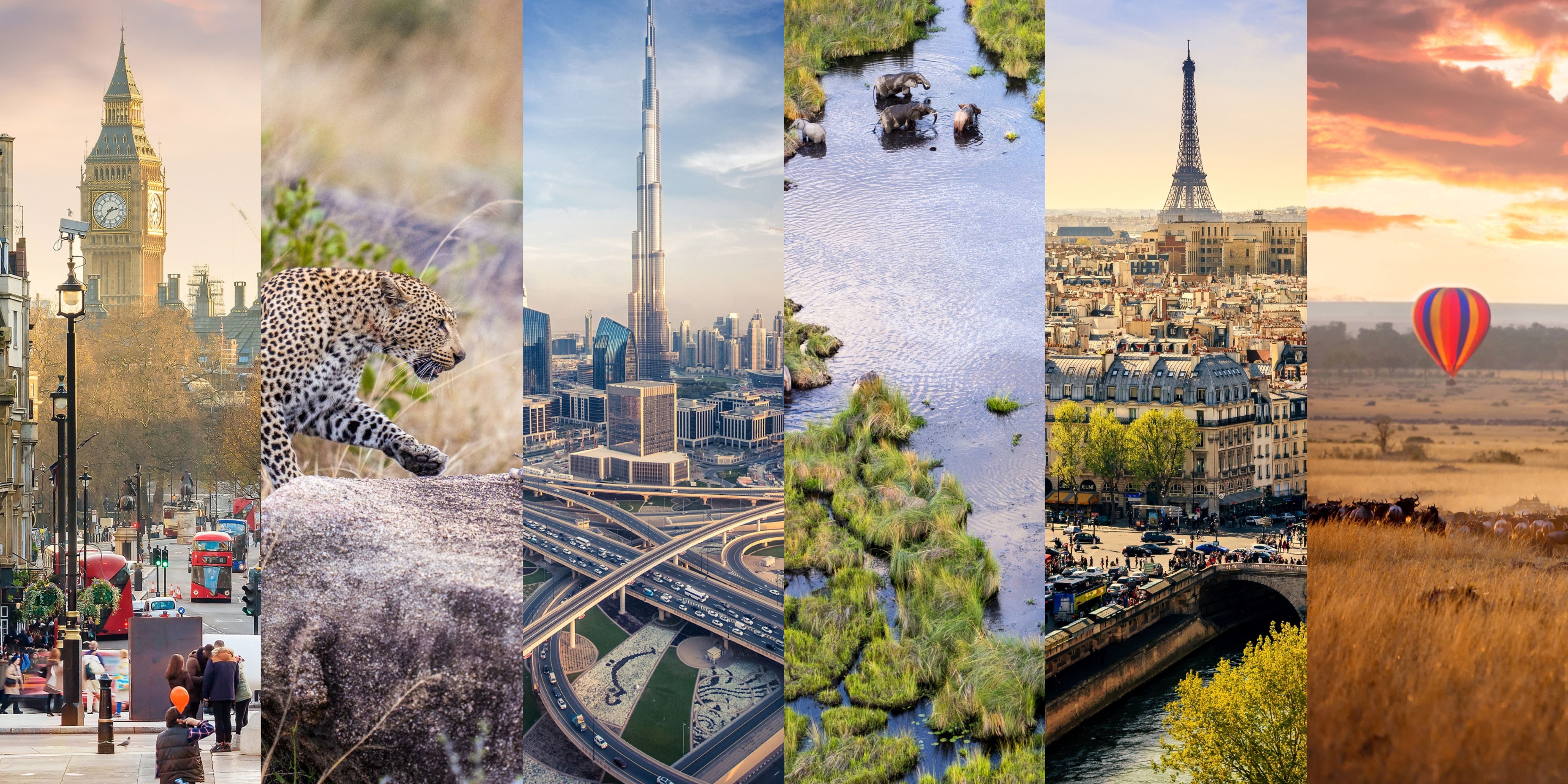 New International Flight Routes to Africa's Top Safari Destinations