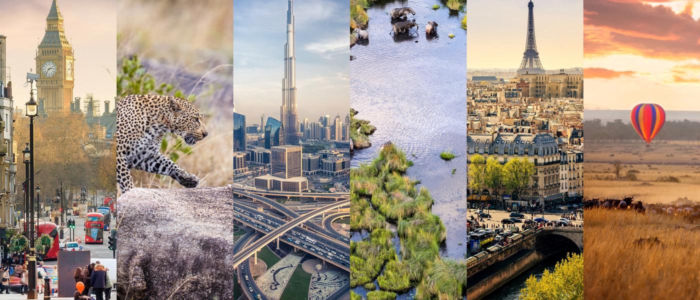 New International Flight Routes to Africa's Top Safari Destinations