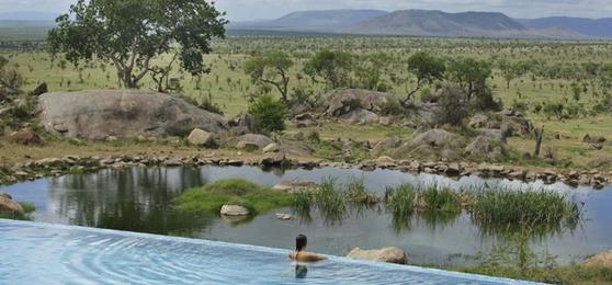 HBO’s "The White Lotus" Season 4: Why the Serengeti Could Be Its Most Explosive Setting Yet