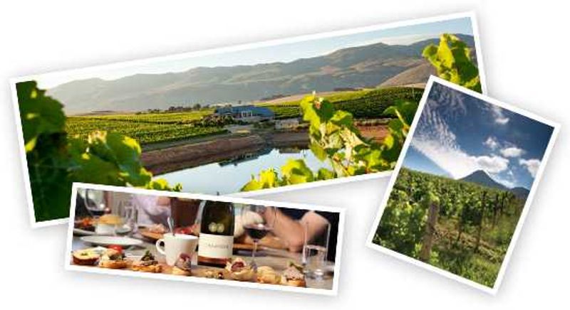 Creation Wines