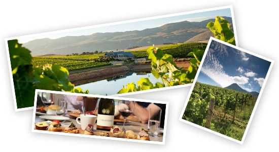 Creation Wines