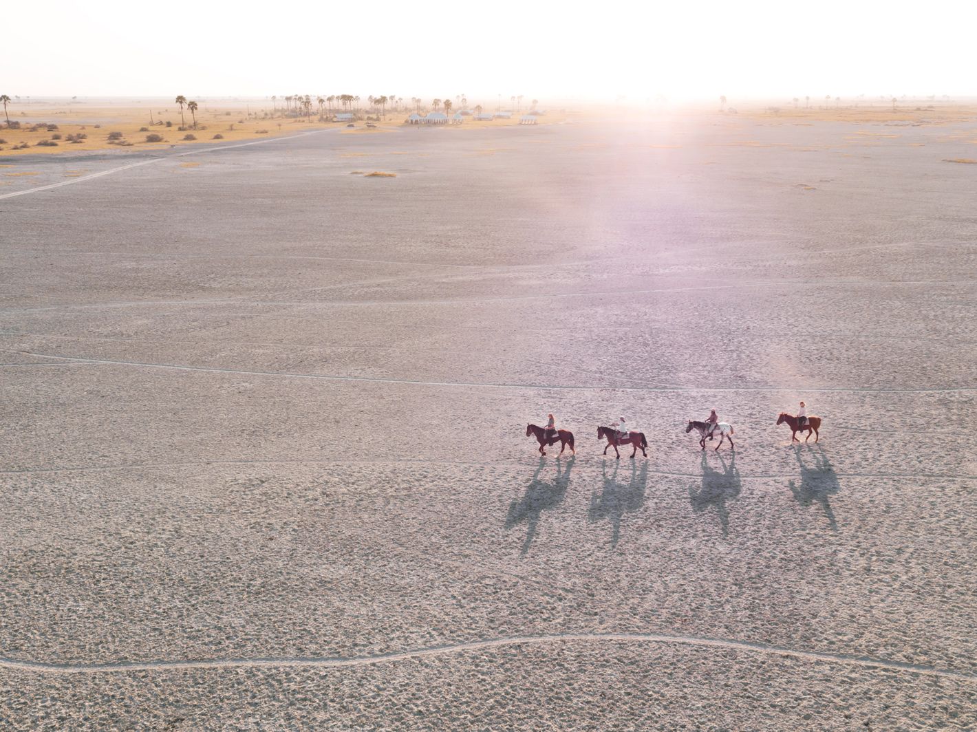 Außergewöhnliche Safaris in Afrika