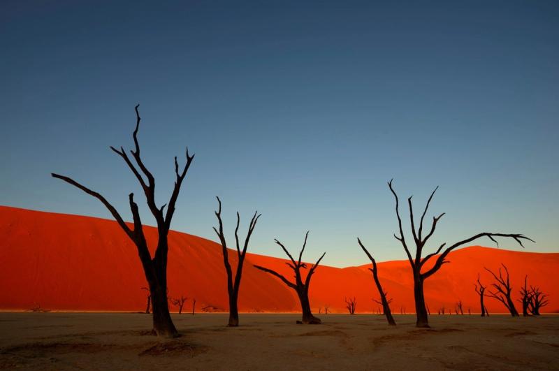 Sunset in the Namibia desert