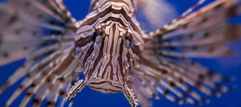 2Oceans Aquarium