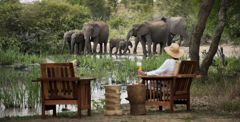 A woman stands quietly watching elephants gather at a waterhole from a lodge viewing area, capturing the intimate moments offered by lodges with the best waterholes.