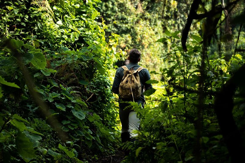Gorilla trekking in Rwanda