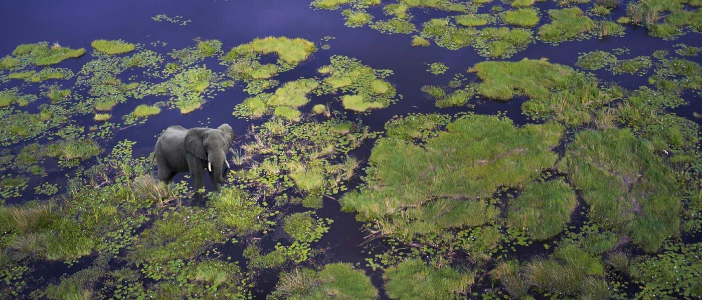 Myths, Miracles and Mysteries: The Okavango River Explained