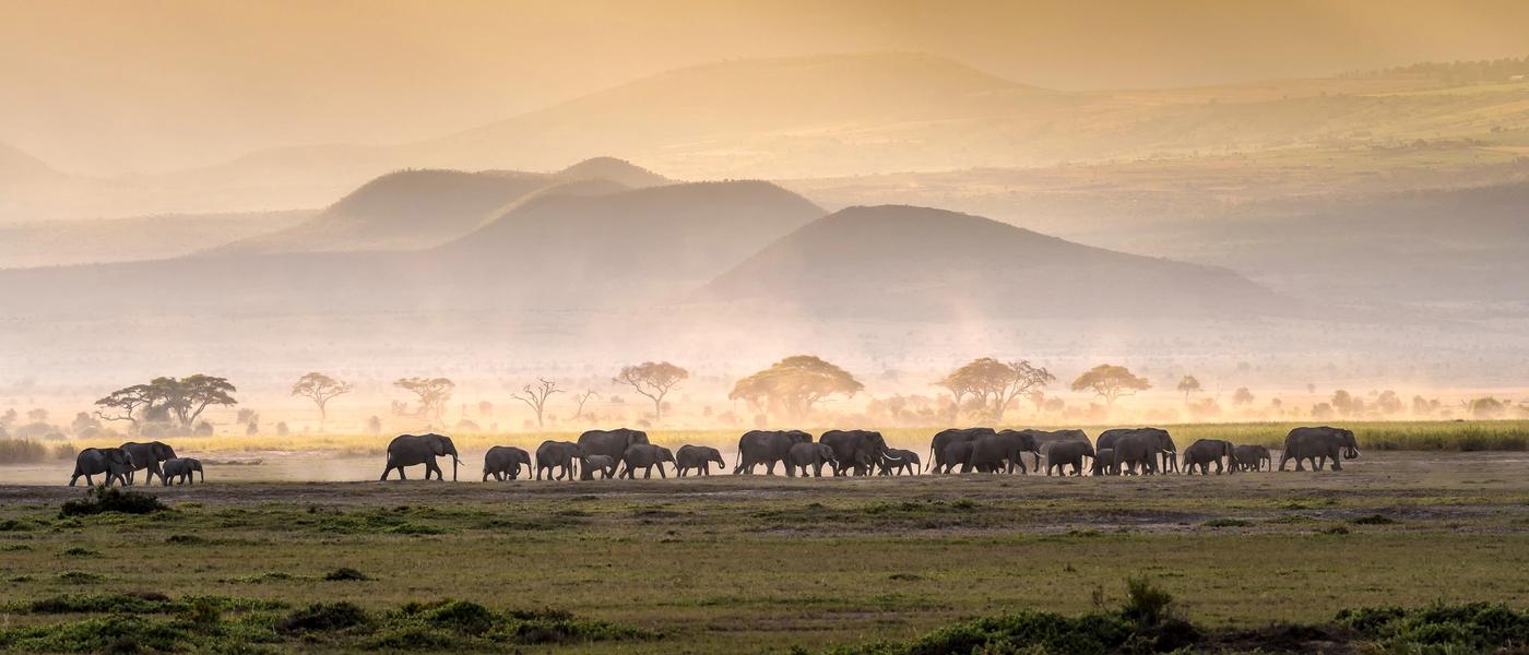 How Far in Advance Should I Book my African Safari?