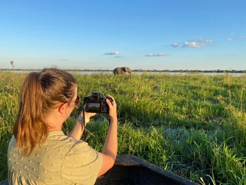 A traveller takes a photograph of an elephant while on a Botswana safari