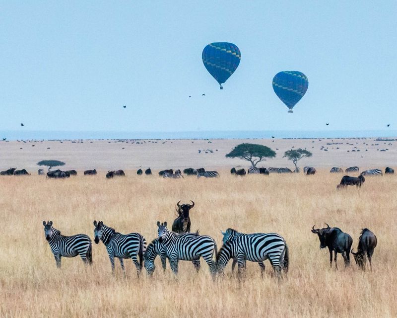Voyage au Kenya : survolez zèbres et buffles en montgolfière