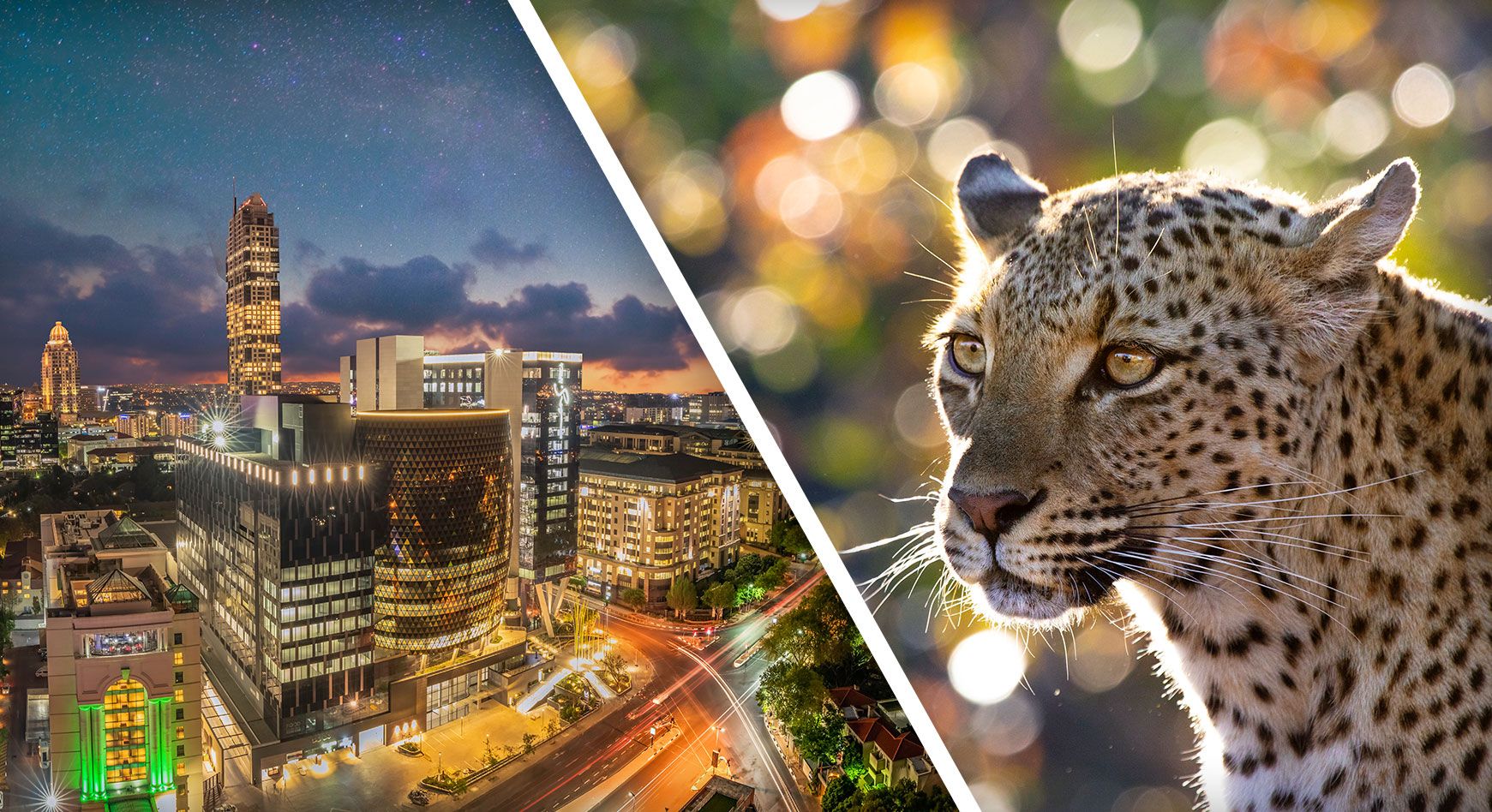 Big City Lights to Safari Sights: City and Safari Tours in Africa