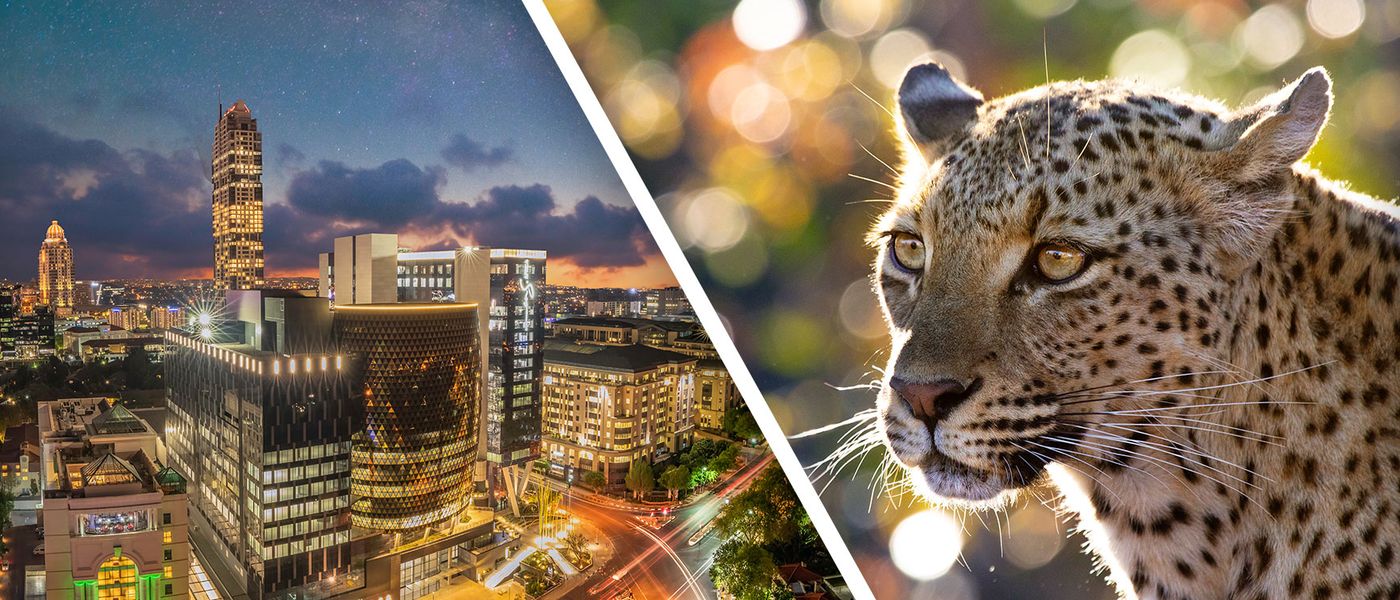 Big City Lights to Safari Sights: City and Safari Tours in Africa