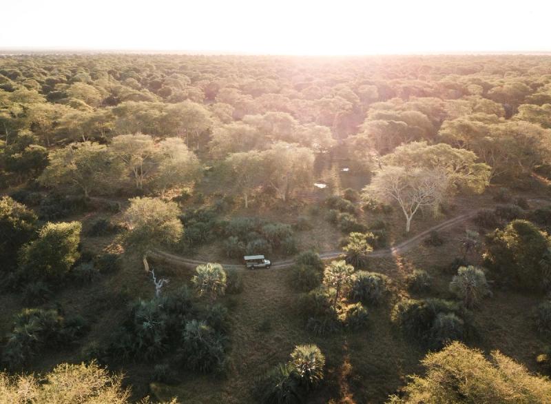 An aerial view shows a lone safari vehicle winding through sunlit woodland in Gorongosa, illustrating destinations for responsible travel.