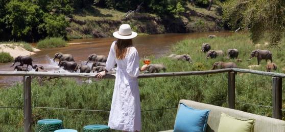 When Is the Best Time to Visit South Africa?