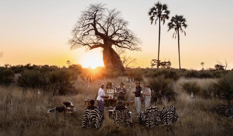 A small gathering enjoys sundowners beneath a baobab at sunset, a manifesto moment shaped by light, laughter, and wide-open wilderness.