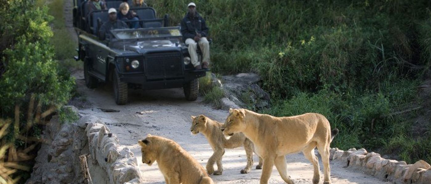 Spurenlesen im Busch: Die MORE Guides & Tracker bei Lion Sands