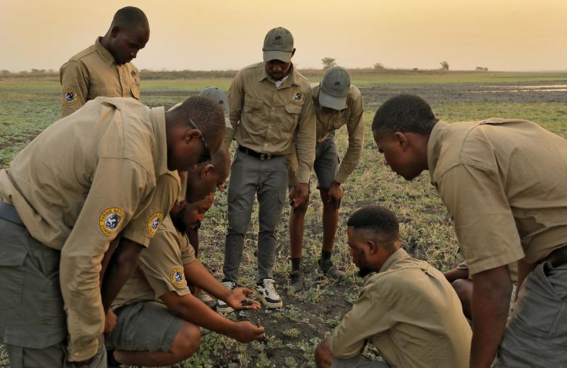A group of wildlife rangers gather closely, examining tracks and signs on the ground together, demonstrating the impact in Gorongosa through shared knowledge and collective decision-making.