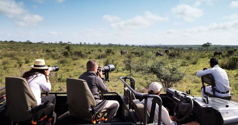 Guests on a photographic safari