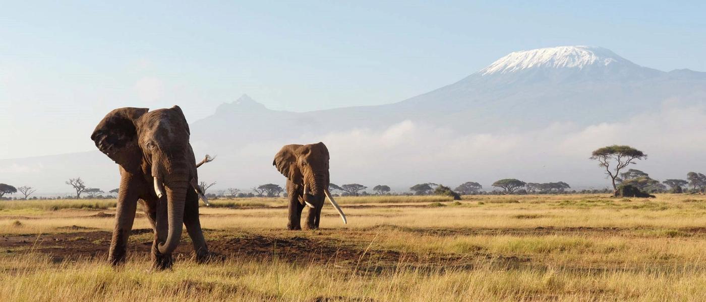 21 lugares africanos para visitar em 2021
