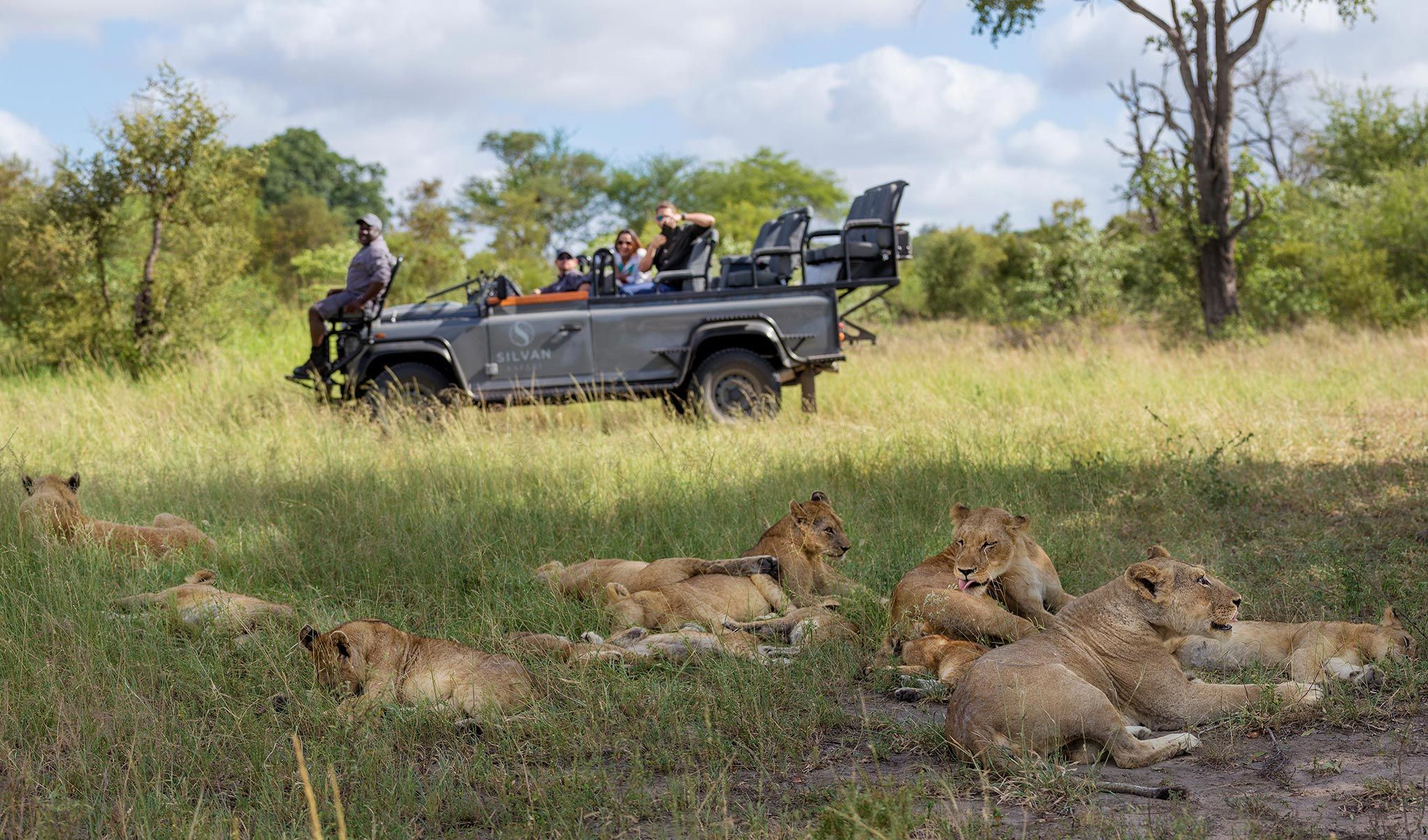 Les meilleures activités safari dans le Kruger