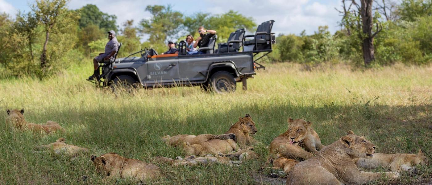 A chaque saison sa destination : Calendrier de voyage africain