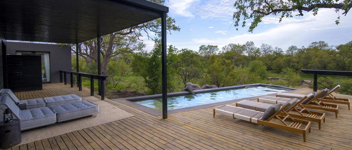 Silvan Safari Blog: Change of Seasons and What to Expect